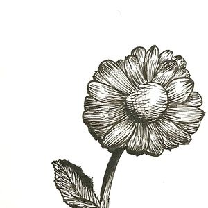 Meet your Posher, sean